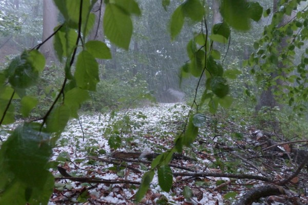 Meteoroloji'den kuvvetli yağış ve rüzgar uyarısı