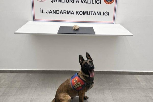 Şanlıurfa’da uyuşturucu operasyonu: 1 tutuklama