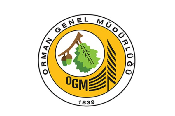Adana'daki orman yangını kontrol altına alındı