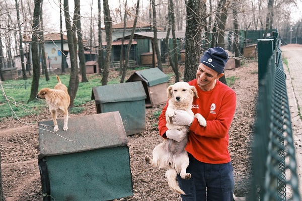 Adapazarı Belediyesi sahipsiz sokak hayvanlarına umut oluyor