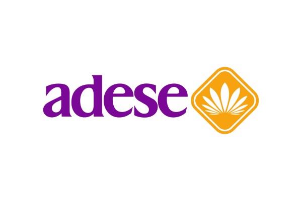 Adese'nin SPK başvurusuna onay