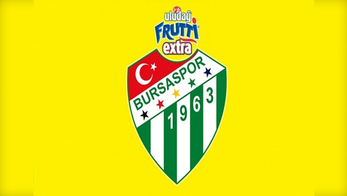 Ahmet Düverioğlu, Bursaspor'da