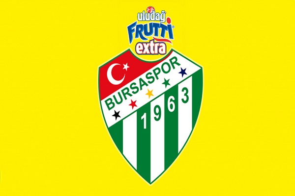 Ahmet Düverioğlu, Bursaspor'da