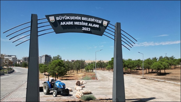 Akabe mesire alanında yeşillendirme çalışmaları