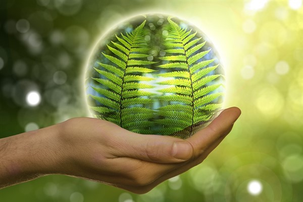 Almanya’dan Yeşil Enerji Girişimi’ne 4 milyar euro destek 