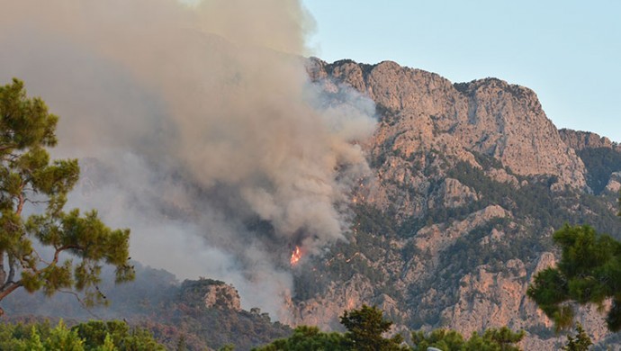 Antalya’nın 3 ilçesinde yangın