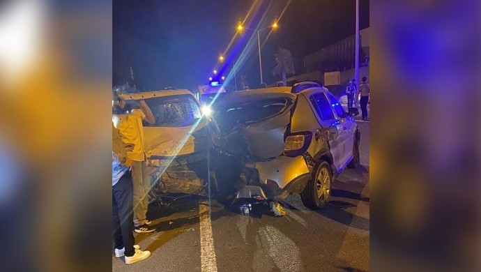 Araç sürünün içine daldı: Çoban hayatını kaybetti