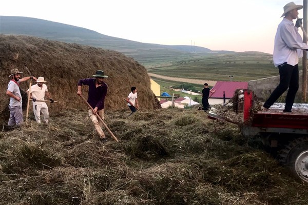 Ardahan’daki yağışlar çiftçilerin yem olarak topladığı otları çürüttü