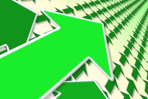 Arena Bilgisayar'ın faaliyet raporu