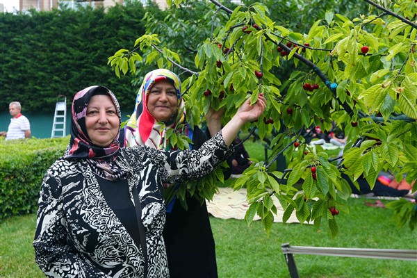Bağcılar’da Kiraz Festivali coşkusu