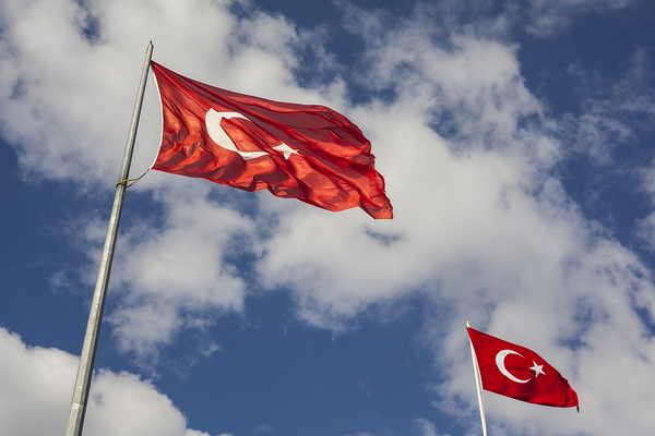 Bakan Tekin: 
