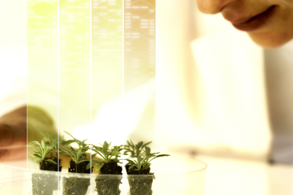 Bayer, bilim insanlarını ve araştırmacıları Testing4Ag programına davet ediyor
