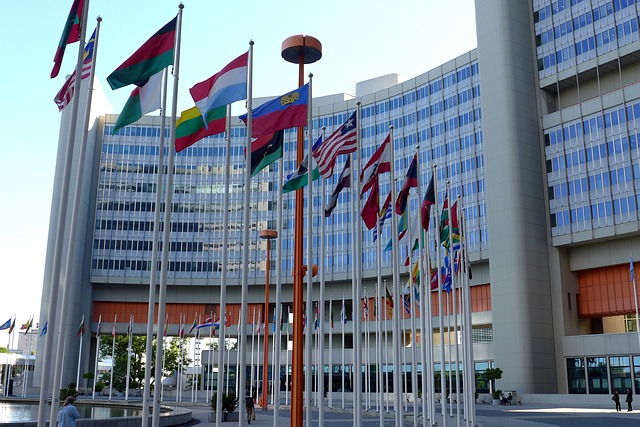 BM Güvenlik Konseyi Gazze'de ateşkes çağrısı yapan kararı kabul etti