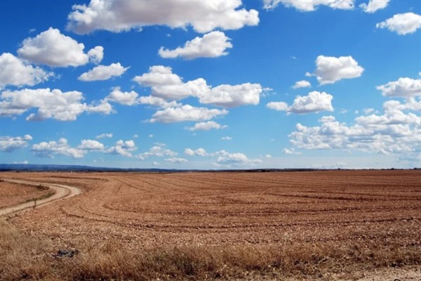 Bornova Belediyesi’nden çiftçilere eğitim