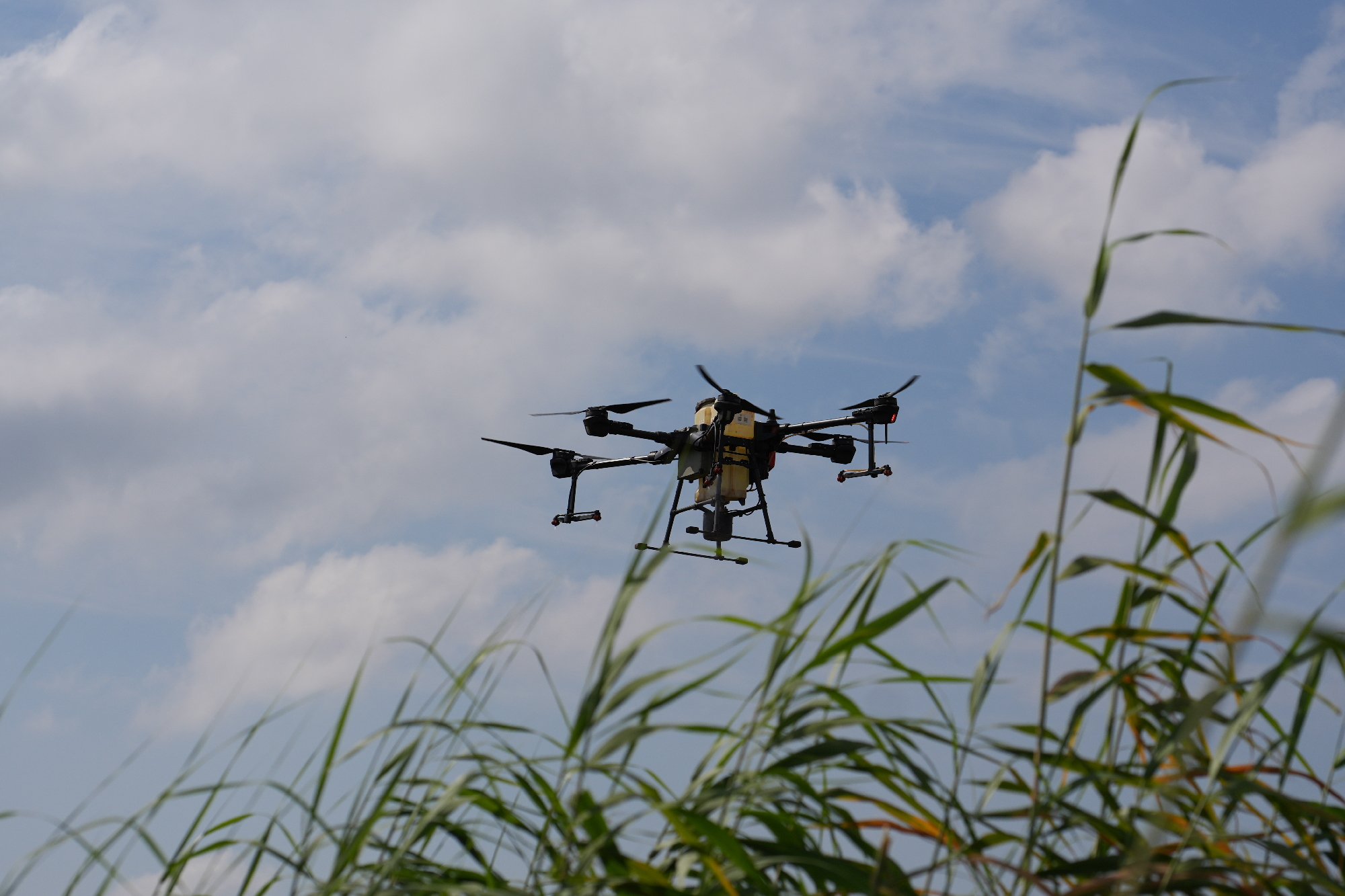 Bursa Büyükşehir Belediyesi drone ile sinek avına çıktı