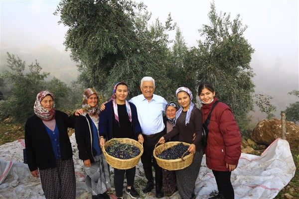 Büyükşehir, Milas Zeytininin geliştirilmesi ve yaygınlaştırılmasını sağlayacak hamle 