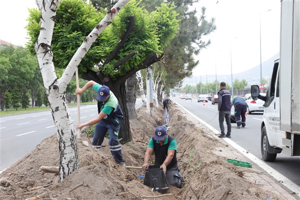 Büyükşehirden 200 bin metrekare alana yağmurlama ve damla sulama sistemi