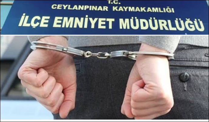 Ceylanpınar 'da aranan 2 şahıs yakalandı