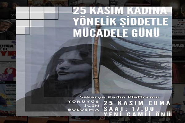 CHP'li Sarıkaya'dan 'Kadına Yönelik Şiddetle Mücadele Günü' açıklaması