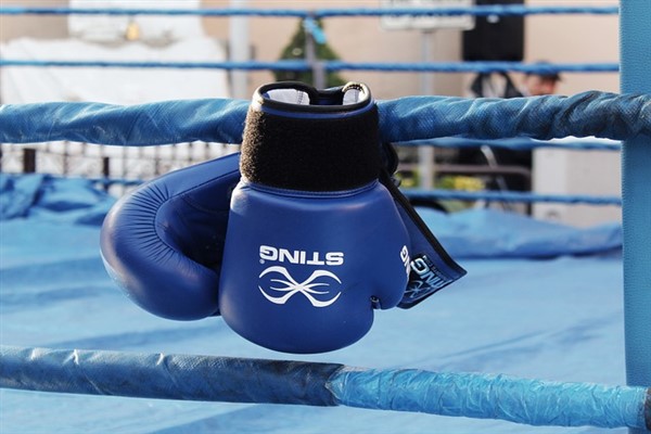 CHP'li Torun'dan WAKO Balkan Kick Boks Şampiyonası'nda şampiyon olan Efe'ye tebrik