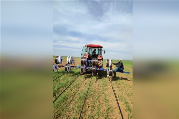 Damla sulamayla buğday üretimi,  kuru tarıma oranla 3 kat verim artışı sağlıyor