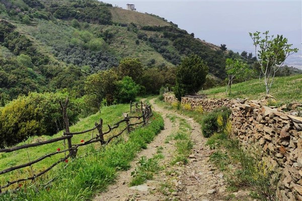 Efeler Yolu, ''En İyi 100 Hikaye'' listesinde