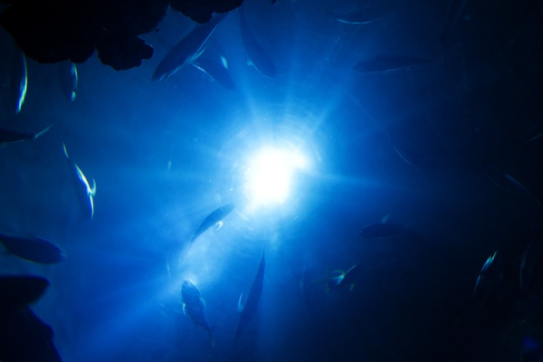 Ekonomik Güven Endeksi, Ekim Ayında 96,5 oldu