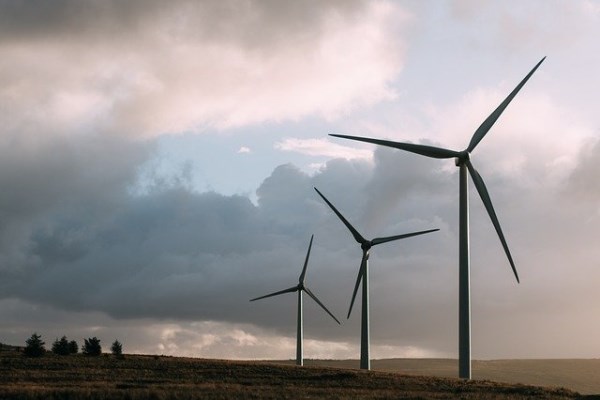 Entek Elektrik'in ön lisans başvurusu