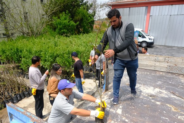 Eskişehir Büyükşehir'den genç çiftçiye ceviz ve badem fidanı desteği