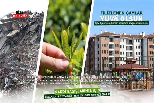 Filizlenen çaylar “yuva” oluyor