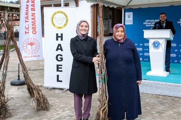 Harmancık’ın marka değeri ceviz olacak