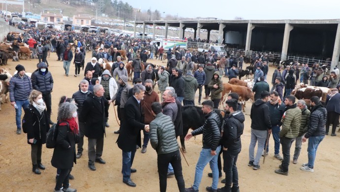 HDP’liler Hayvan Borsası esnafının derdini dinledi