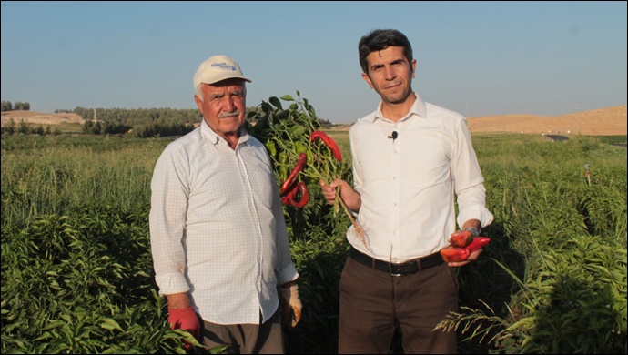 HÜDA PAR İl Başkanı'ndan Urfalı Milyoner Gençler Proje Önerisi 