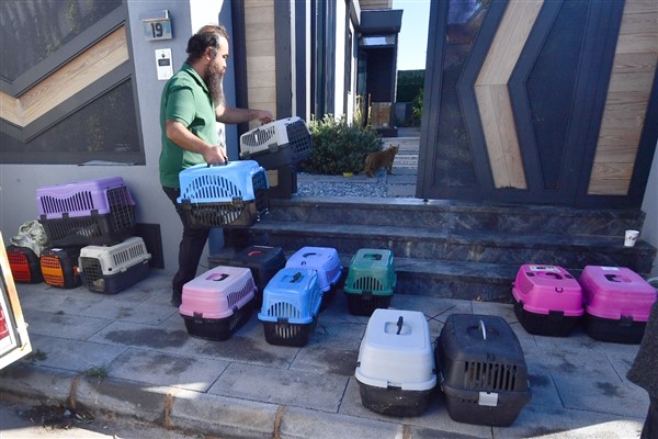İzmir’de mobil araçla kısırlaştırma hizmeti sürüyor