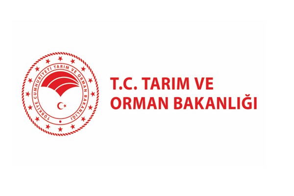 İzmir'de orman yangınına müdahale sürüyor 