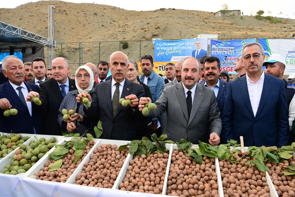 Kahramanmaraş'ta 7’nci Çağlayancerit Ceviz ve Kültür Festivali 