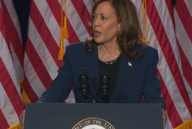   Kamala Harris'in ilk kampanya konuşması: Seçim özgürlük ile kaos arasında