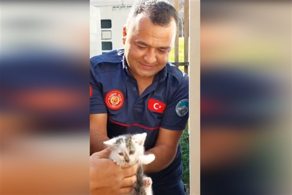 Kayseri’de klimanın içine sıkışan yavru kedi kurtarıldı