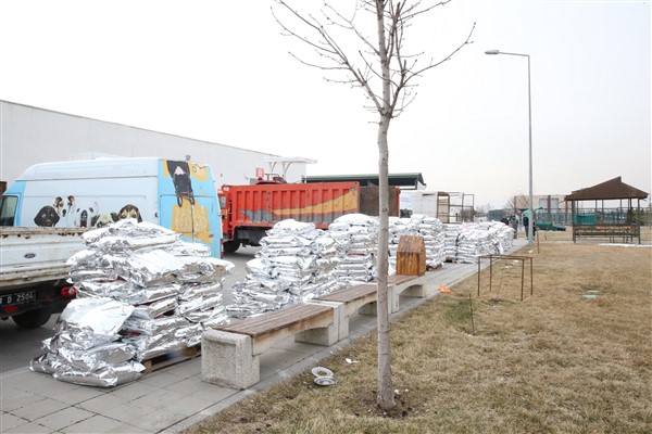 Kayseri’de yaklaşık 10 bin sokak hayvanına sahip çıkıldı