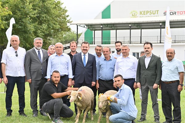 Kepsutlu üreticiye küçükbaş hayvan desteği