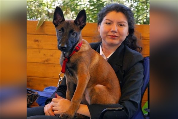 Köpek eğitimi neden önemli ?