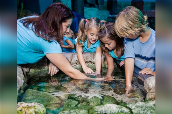  Legoland, Sea Life ve Madame Tussauds’dan yaz kampanyası