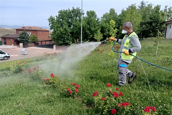 Malatya’da ilaçlama çalışmaları devam ediyor 