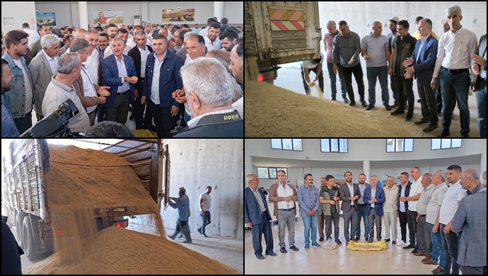 Mardin’de sezonun ilk arpa hasadı yapıldı
