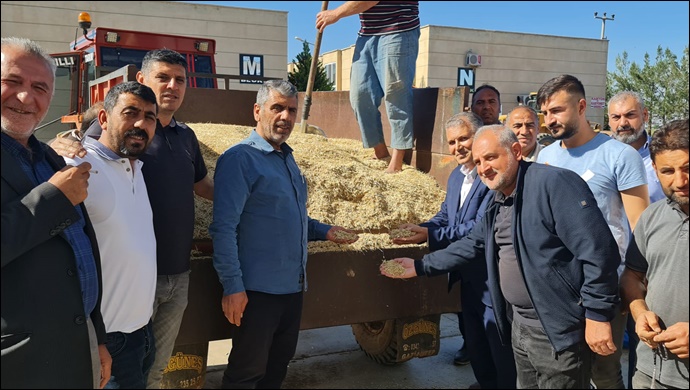 Mardin’de Sezonun İlk Arpa Hasadı Yapıldı