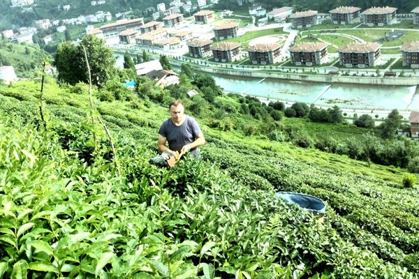 Memleket Partili Bayrak: “Çay üreticisine verilen desteklemeye bu yılda zam yapılmadı