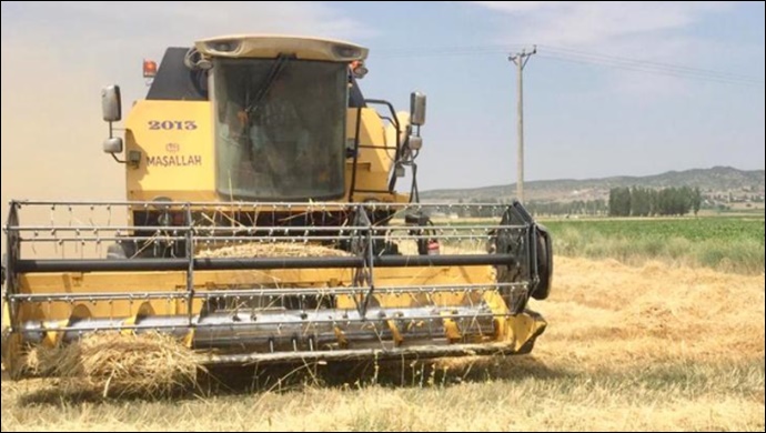 Mevsimlik tarım işçilerinin ortalama günlük ücretleri 2021 yılında %20,6 arttı