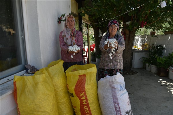 Milas Belediyesi’nden sürdürülebilir kırsal kalkınma hamlesi