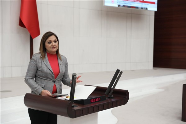 Milletvekili Köksal: 