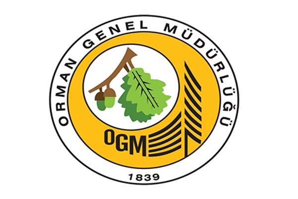 Mudanya'daki orman yangını kontrol altına alındı
